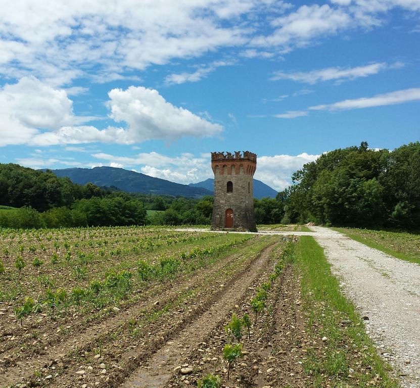 Gasthaus Agriturismo Casteldardo Trichiana Exterior foto